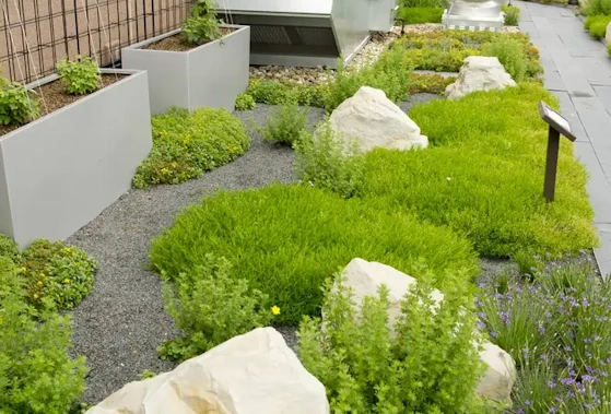 Tremco rooftop garden and HVAC system outside of building.