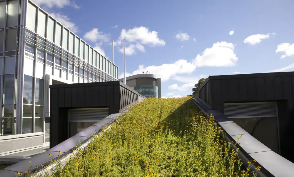 Tremco vegetated roof next to glass building 
